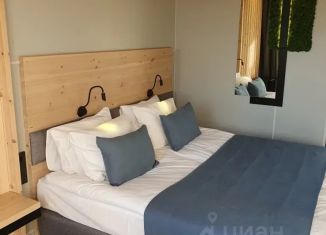 Сдача в аренду комнаты, 18 м2, Ленинградская область, деревня Дубки, 1