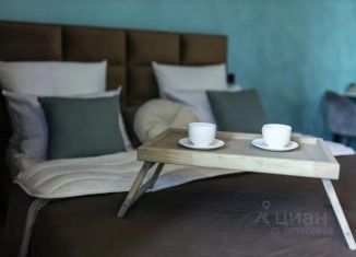 Сдаю в аренду однокомнатную квартиру, 26 м2, Иркутская область, улица Карла Либкнехта, 201