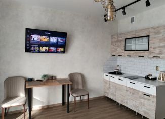 Аренда квартиры студии, 30 м2, Чита, микрорайон Каштакский, 7