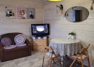 Сдается в аренду дом, 40 м2, Челябинская область, Курортная улица, 2
