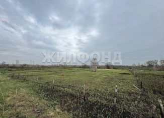 Продам земельный участок, 12 сот., Новосибирская область, 1-я Полевая улица