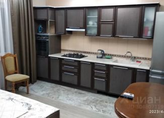Дом в аренду, 140 м2, Краснодарский край, Насыпная улица, 59
