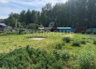 Продажа дома, 30 м2, Новосибирская область