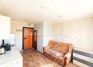 Продам квартиру студию, 14 м2, Алтайский край, улица Эмилии Алексеевой, 60