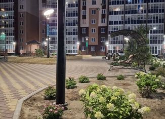 Сдам 1-ком. квартиру, 43 м2, Курган