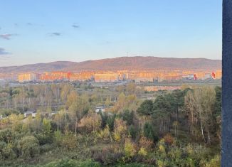 Продажа 1-ком. квартиры, 31.9 м2, Челябинская область, улица Кирова, 86