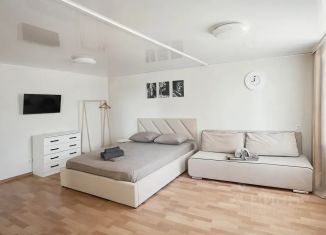 Сдается квартира студия, 32 м2, Курган, улица Карла Маркса, 60/19