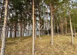 Продам участок, 15 сот., Ленинградская область