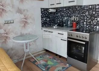 Продам квартиру студию, 23.3 м2, рабочий поселок Маркова, микрорайон Берёзовый, 242