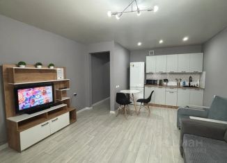 Сдается квартира студия, 29 м2, Чита, улица Серова, 30